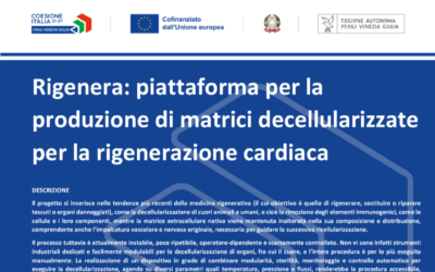 Rigenera: platform for the production of decellularized matrices for cardiac regeneration